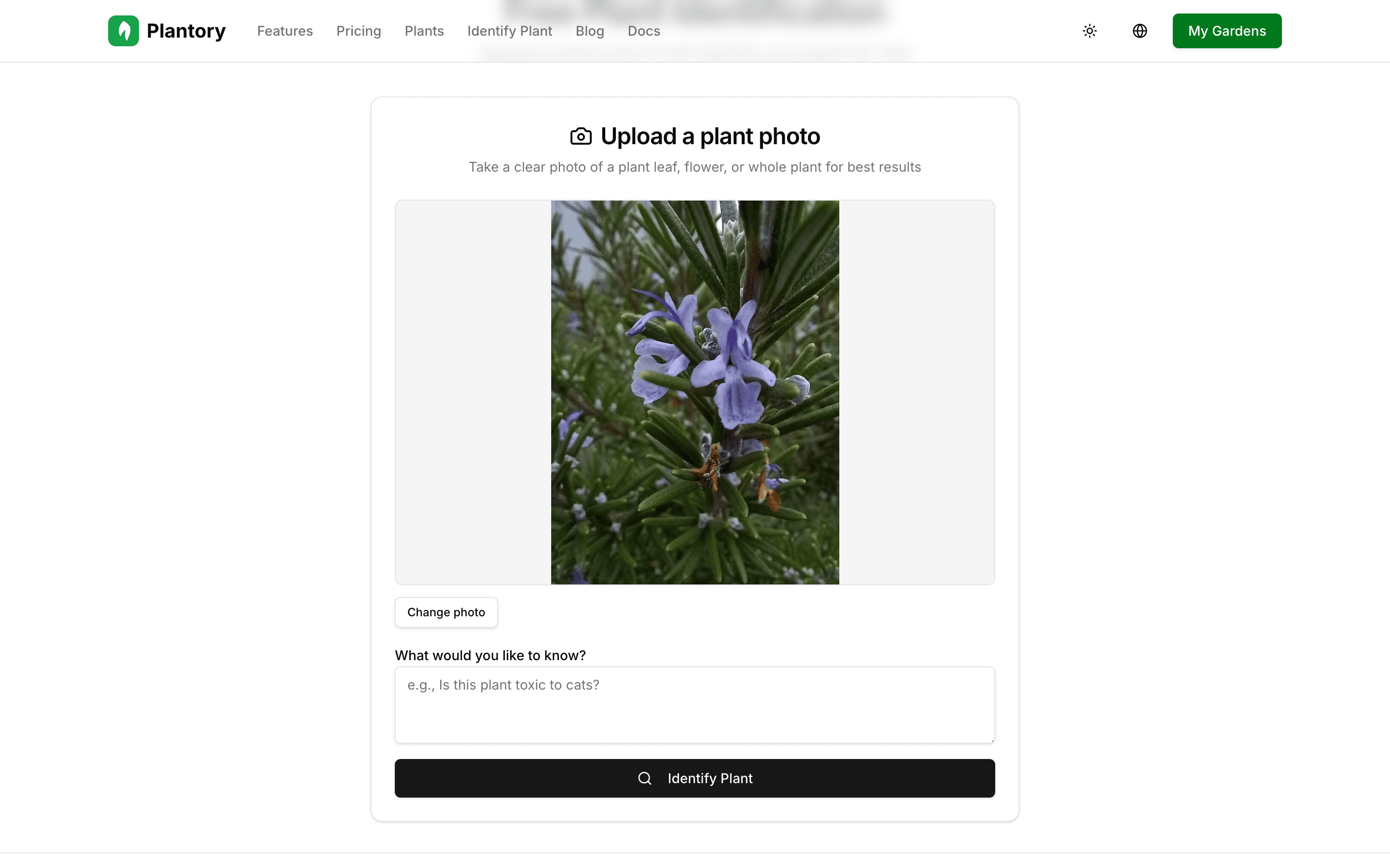 Plant identification upload form with a photo ready to identify