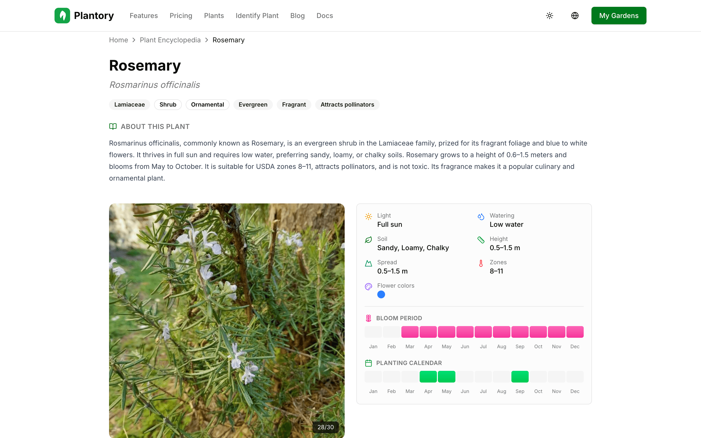 Plant detail page with care information